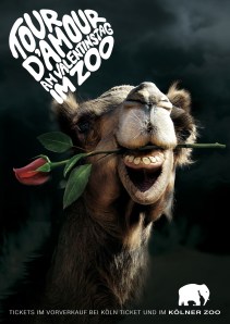 a4_poster_print_camel