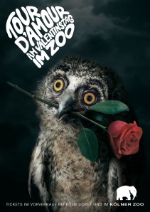 a4_poster_print_owl