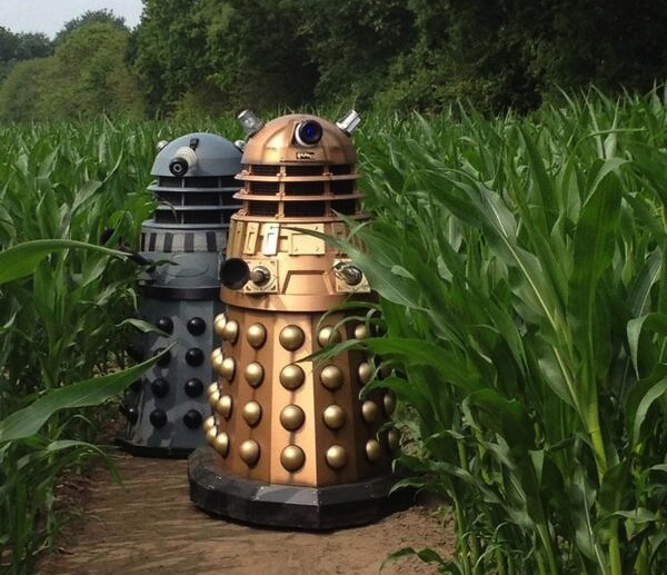 DoctorWho-crop-circle2