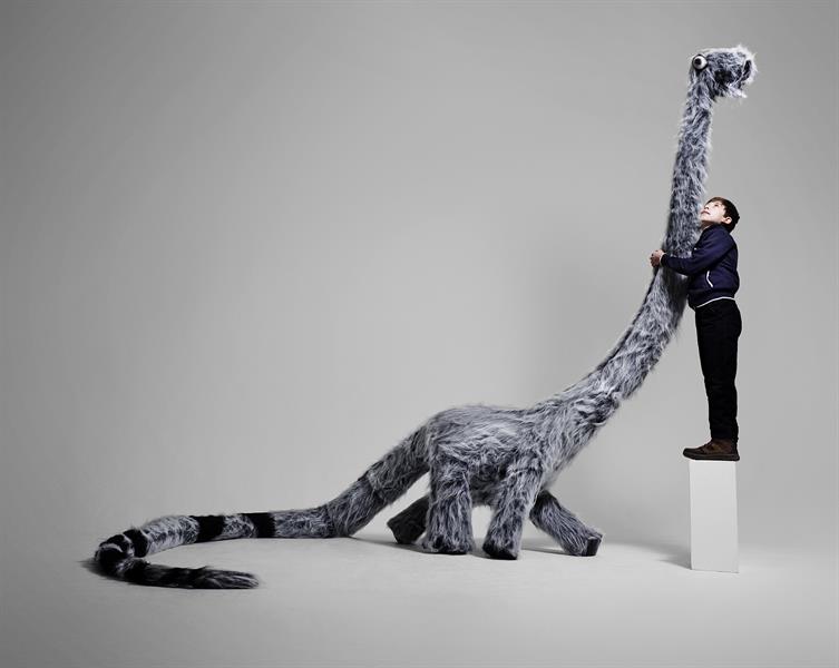 cached.imagescaler.hbpl.co